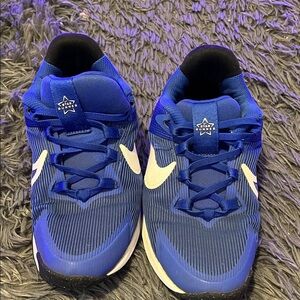 Nike Royal Blue and White Sneakers